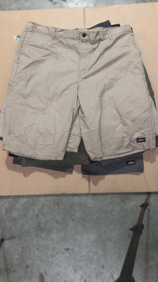 BULK 81 - 20 SHORTS CARGO COTTON DICKIES